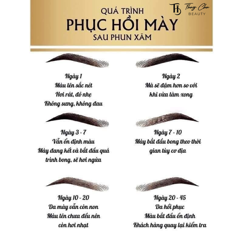 Hình ảnh mô tả các giai đoạn hồi phục, chăm sóc sau khi phun mày
